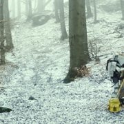Archive - galeria zdjęć - filmweb