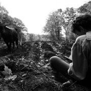 The Better Angels - galeria zdjęć - filmweb