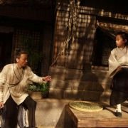 Zhao Shi Gu Er - galeria zdjęć - filmweb