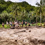 Lord of the Flies - galeria zdjęć - filmweb