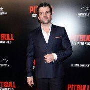 Pitbull. Ostatni pies - galeria zdjęć - filmweb