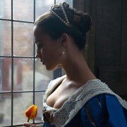 Tulip Fever - galeria zdjęć - filmweb