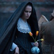 Tulip Fever - galeria zdjęć - filmweb