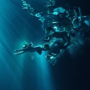 Czarne stokrotki - galeria zdjęć - filmweb