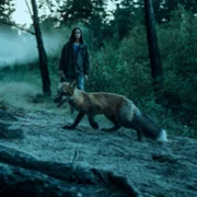 Czarne stokrotki - galeria zdjęć - filmweb