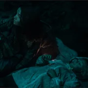 Czarne stokrotki - galeria zdjęć - filmweb
