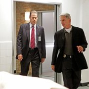 Navy NCIS: Naval Criminal Investigative Service - galeria zdjęć - filmweb