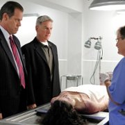 Navy NCIS: Naval Criminal Investigative Service - galeria zdjęć - filmweb