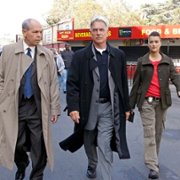 Navy NCIS: Naval Criminal Investigative Service - galeria zdjęć - filmweb