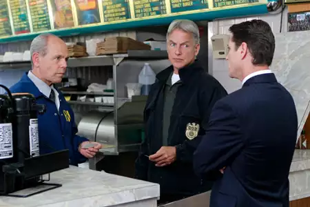 Agenci NCIS - galeria zdjęć - filmweb