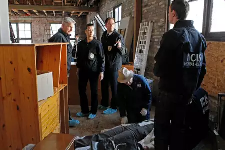 Agenci NCIS - galeria zdjęć - filmweb