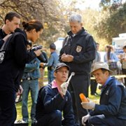 Navy NCIS: Naval Criminal Investigative Service - galeria zdjęć - filmweb