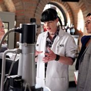 Navy NCIS: Naval Criminal Investigative Service - galeria zdjęć - filmweb