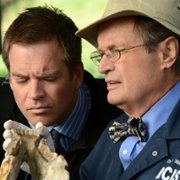 Navy NCIS: Naval Criminal Investigative Service - galeria zdjęć - filmweb