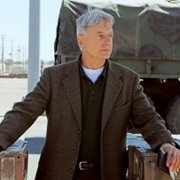 Navy NCIS: Naval Criminal Investigative Service - galeria zdjęć - filmweb