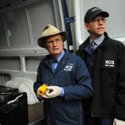 Navy NCIS: Naval Criminal Investigative Service - galeria zdjęć - filmweb