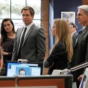 Navy NCIS: Naval Criminal Investigative Service - galeria zdjęć - filmweb