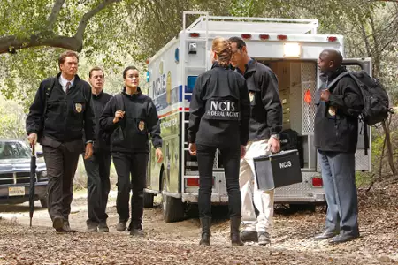 Agenci NCIS - galeria zdjęć - filmweb