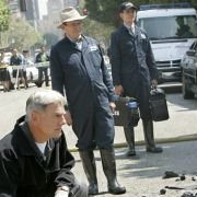 Navy NCIS: Naval Criminal Investigative Service - galeria zdjęć - filmweb