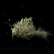 Samorost 2 - galeria zdjęć - filmweb