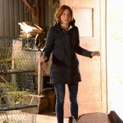 Under the Dome - galeria zdjęć - filmweb