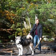Hero Dog: The Journey Home - galeria zdjęć - filmweb