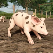 Farming Simulator 25 - galeria zdjęć - filmweb