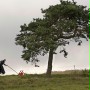 Magiczne drzewo - galeria zdjęć