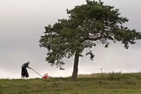 Magiczne drzewo - galeria zdjęć - filmweb