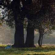 Bir Başkadır - galeria zdjęć - filmweb