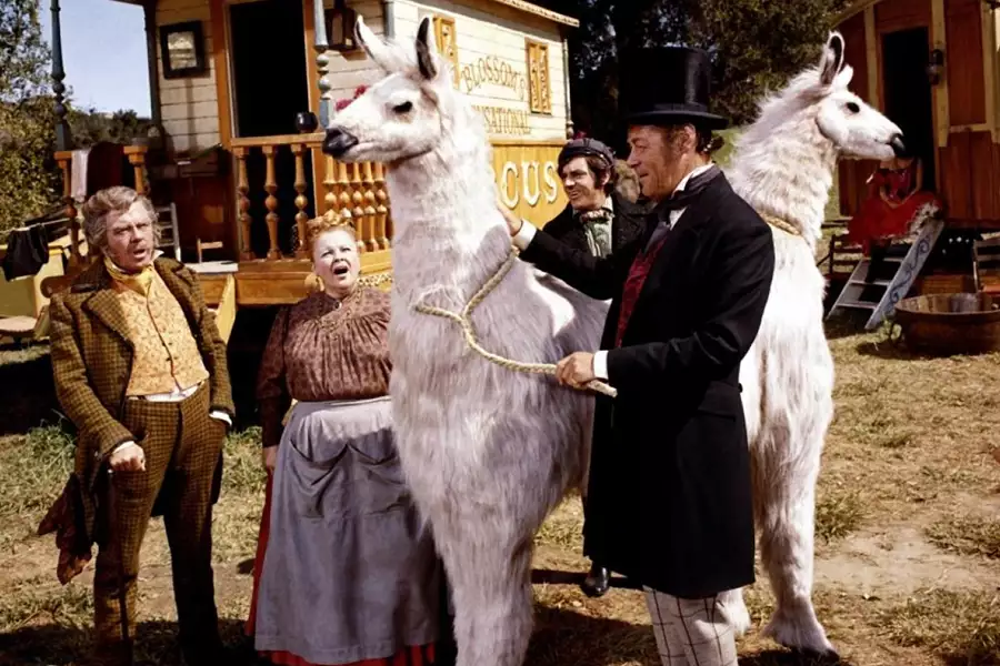 Doktor Dolittle - galeria zdjęć - filmweb