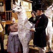 Doktor Dolittle - galeria zdjęć - filmweb