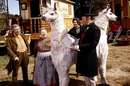 Doktor Dolittle - galeria zdjęć - filmweb