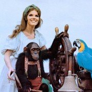 Doctor Dolittle - galeria zdjęć - filmweb
