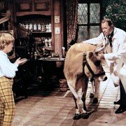 Doctor Dolittle - galeria zdjęć - filmweb