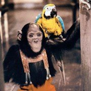 Doctor Dolittle - galeria zdjęć - filmweb