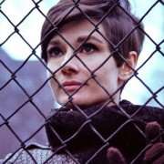 Wait Until Dark - galeria zdjęć - filmweb