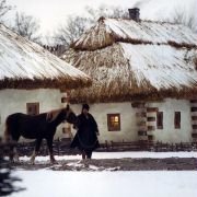 Taras Bulba - galeria zdjęć - filmweb