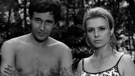 Doktor Ewa - galeria zdjęć - filmweb