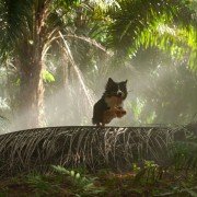 Fünf Freunde 3 - galeria zdjęć - filmweb