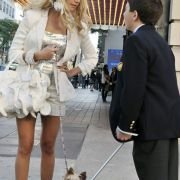 Sharpay's Fabulous Adventure - galeria zdjęć - filmweb