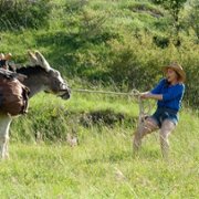 Osiołek, kochanek i ja - galeria zdjęć - filmweb