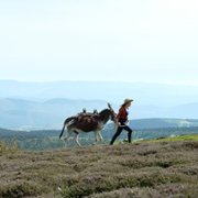 Osiołek, kochanek i ja - galeria zdjęć - filmweb