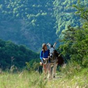 Osiołek, kochanek i ja - galeria zdjęć - filmweb