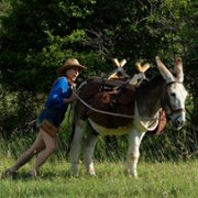 Antoinette dans les Cévennes - galeria zdjęć - filmweb