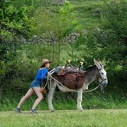 Antoinette dans les Cévennes - galeria zdjęć - filmweb