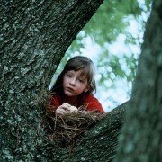 Dom z kart - galeria zdjęć - filmweb