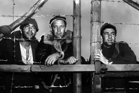 Stalag 17 - galeria zdjęć - filmweb