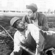 Stalag 17 - galeria zdjęć - filmweb