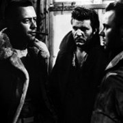 Stalag 17 - galeria zdjęć - filmweb